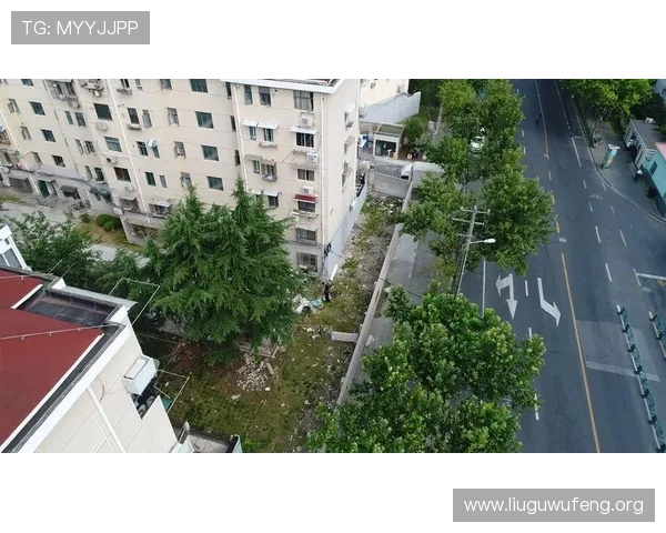 亚洲城属于哪个社区详细介绍以及社区归属情况解析 亚洲城属于哪个社区详细介绍以及社区归属情况解析