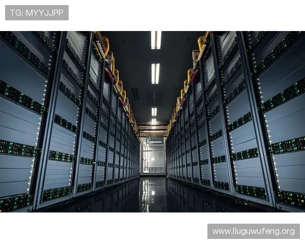 全面解析亚洲诚信网站服务器查询功能，助力玩家轻松找到优质稳定的游戏服务器