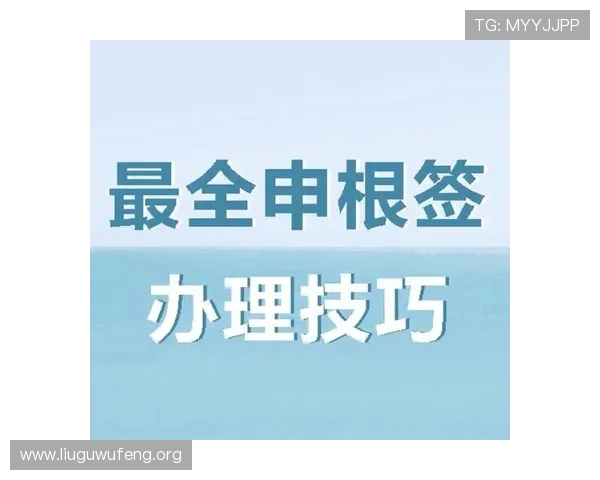 掌握888集团网址链接的安全访问技巧确保账号信息安全与顺畅体验