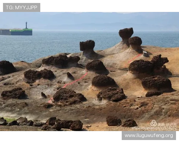 168幸运飞艇官方开奖时间及中奖规则详解让你轻松掌握投注节奏 168幸运飞艇官方开奖时间及中奖规则详解让你轻松掌握投注节奏
