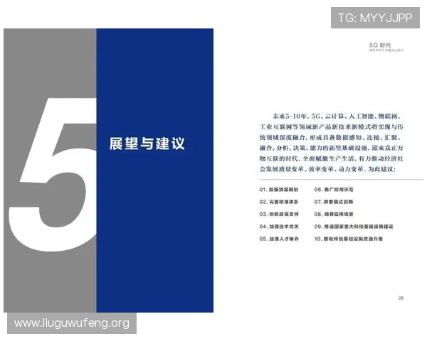 5g智能电网白皮书PDF全文解读促进智能电网技术创新与行业升级 5g智能电网白皮书PDF全文解读促进智能电网技术创新与行业升级