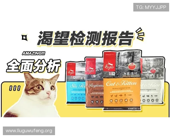 888集团线上网站最新官方入口全面解析助你轻松注册与登录指南