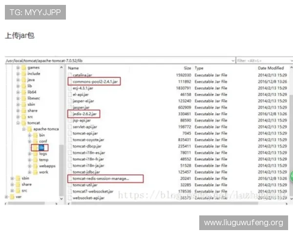 ca88登录遇到问题怎么办？详细解决方案与常见故障排查指南