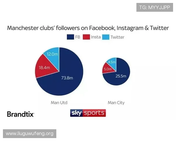 FB体育网页版优化体验指南帮助新手快速上手享受畅快体育娱乐