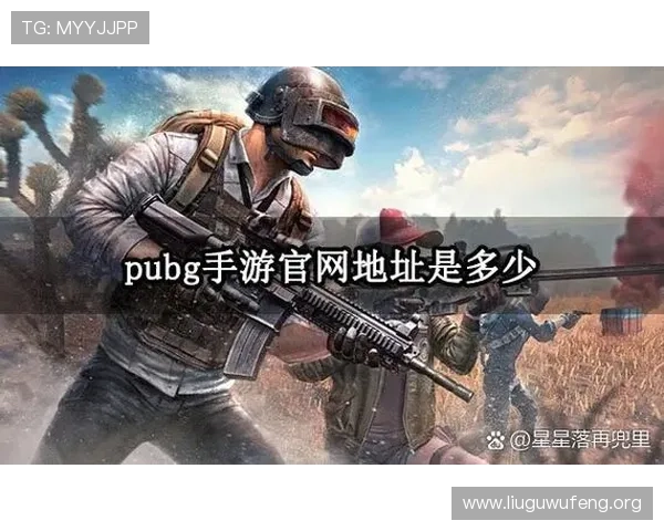 pabg手游国际服最新上线版本全面解析与玩家体验指南