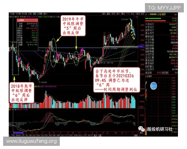 一分快三历史走势分析帮助玩家掌握规律提升中奖几率的实用指南