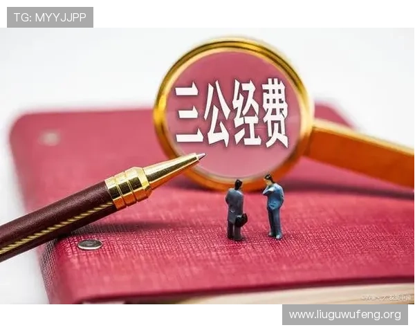 三公经费的合理使用原则，如何在保障公务需要的同时实现财政资金的高效利用