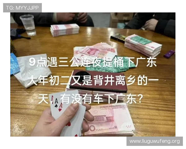 九点遇三公的常见问题与解决方案详解为玩家提供实用的操作指南和技巧建议 九点遇三公的常见问题与解决方案详解为玩家提供实用的操作指南和技巧建议
