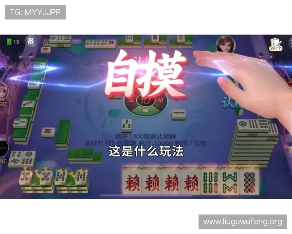 二八杠游戏规则详解，帮助玩家理解游戏中的各种玩法细节
